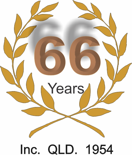 66 years logo